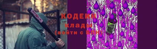 прущий лед Алзамай