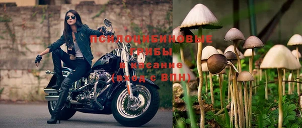 прущий лед Алзамай