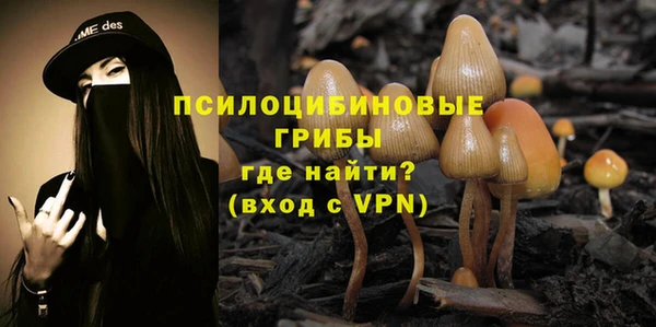прущий лед Алзамай