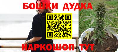 PSILOCYBIN Балахна