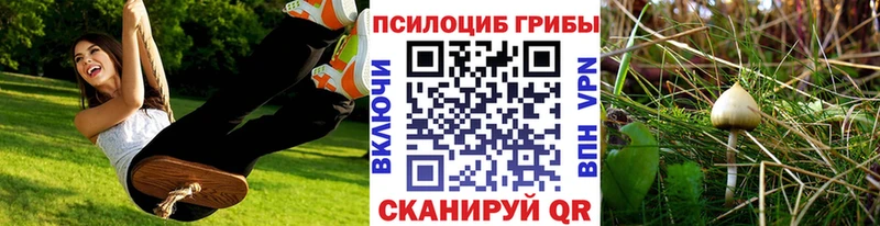hydra как войти  Дивногорск  Галлюциногенные грибы Cubensis 