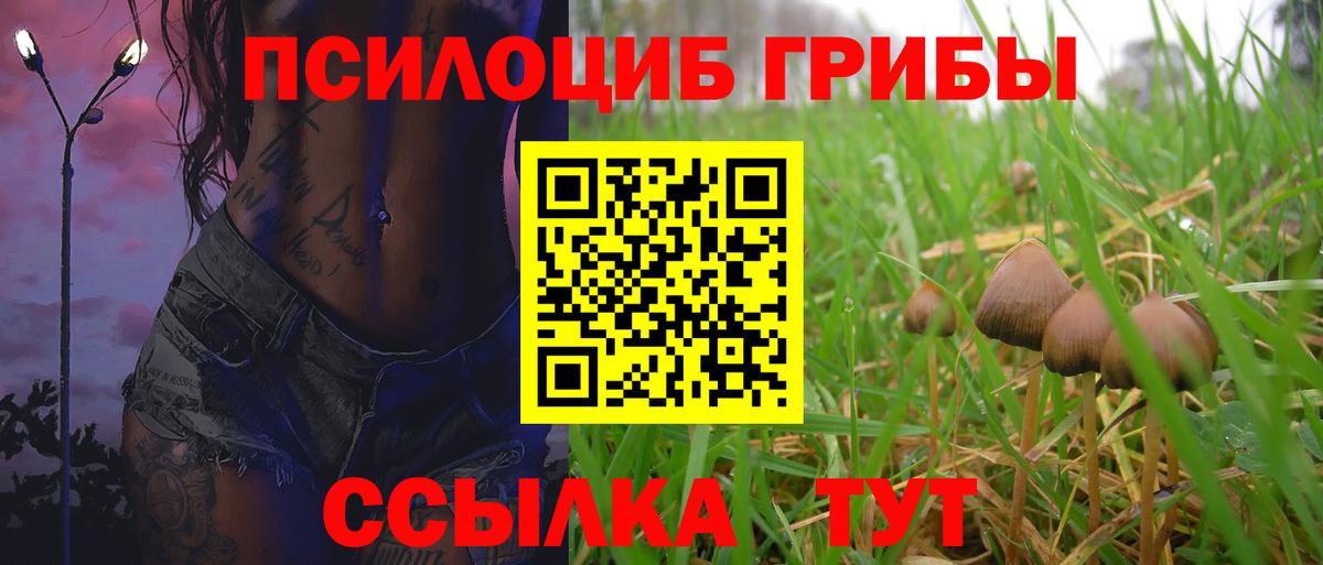 сколько стоит  Вход с VPN  Дивногорск  Псилоцибиновые грибы GOLDEN TEACHER 