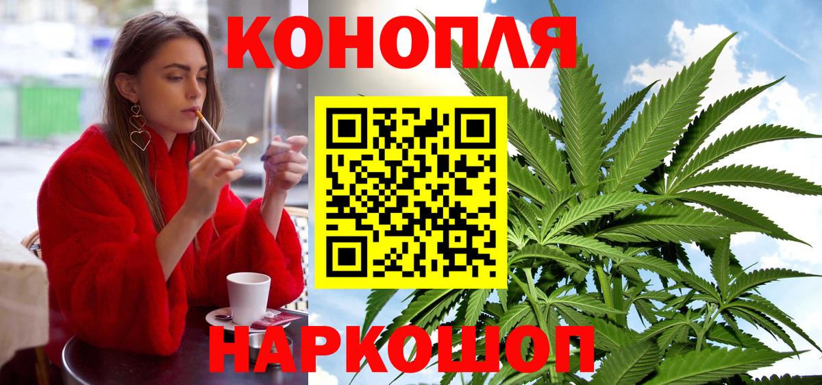 Конопля OG Kush Дивногорск